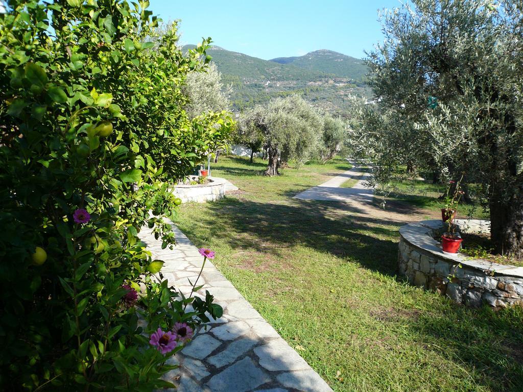 Liossis Rooms & Apartments Skopelos Extérieur photo