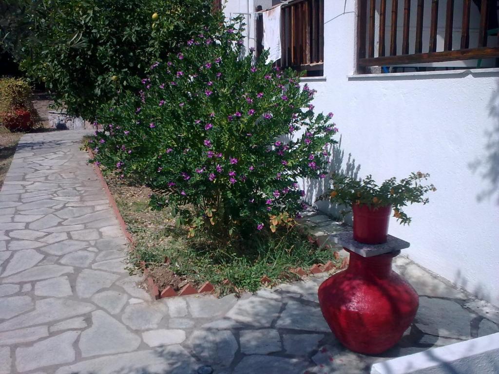 Liossis Rooms & Apartments Skopelos Extérieur photo